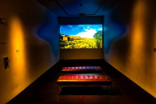 Enchanted Lands Project Photograph No. 062