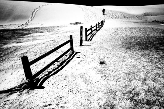 Enchanted Lands Project Photograph No. 069