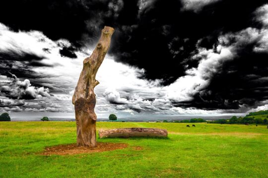 Oxygen Project Photograph No. 081