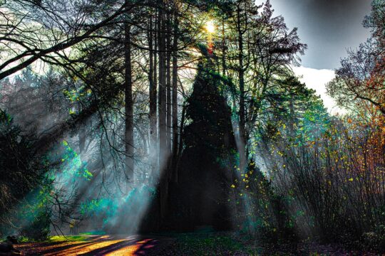 Oxygen Project Photograph No. 082