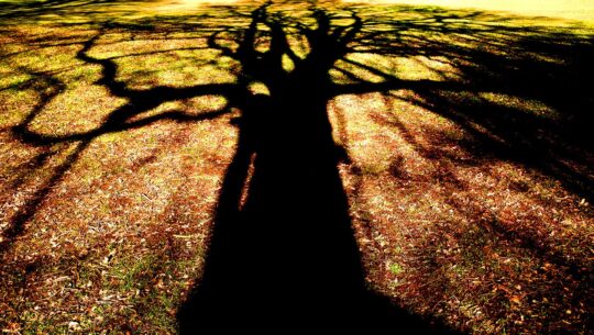 Oxygen Project Photograph No. 083