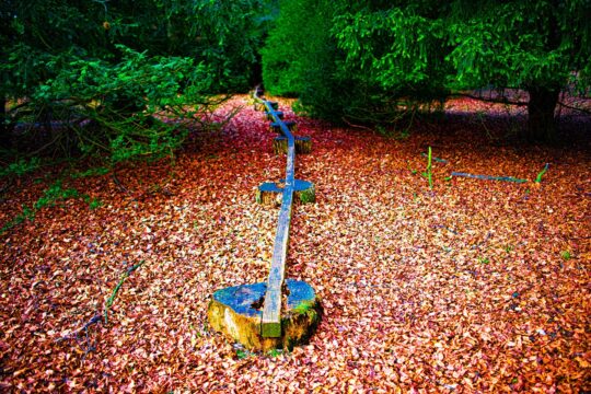 Oxygen Project Photograph No. 085