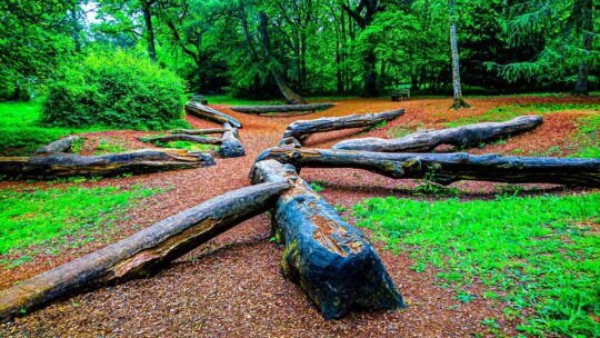 Oxygen Project Photograph No. 086