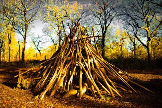 Oxygen Project Photograph No. 087