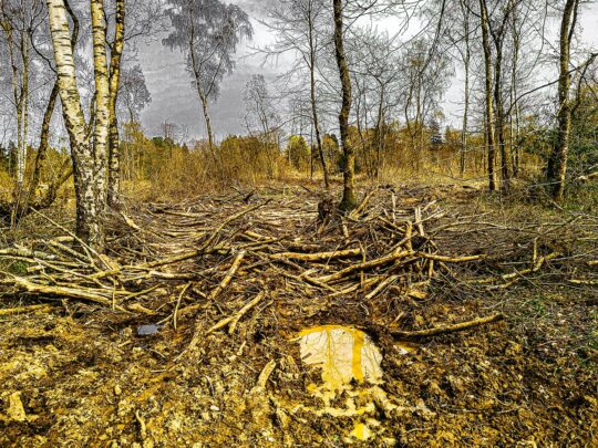 Oxygen Project Photograph No. 088