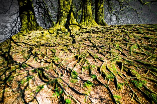 Oxygen Project Photograph No. 090