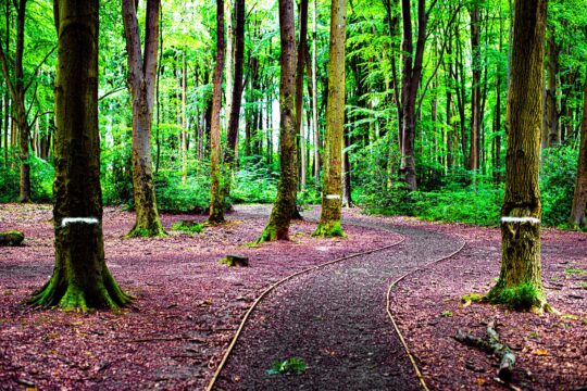 Oxygen Project Photograph No. 093