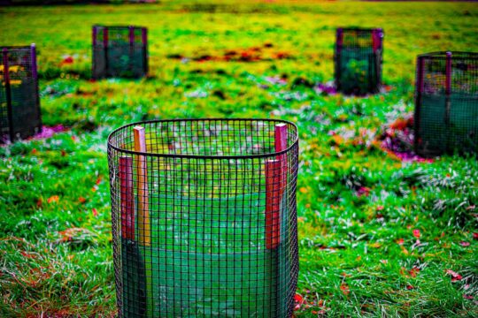 Oxygen Project Photograph No. 094