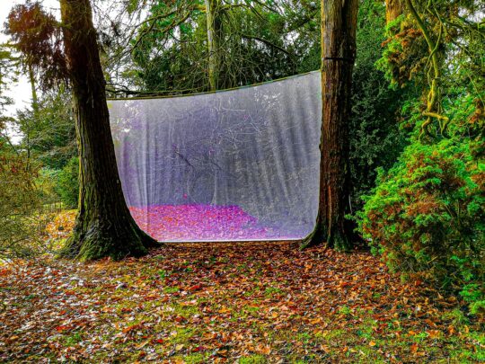 Oxygen Project Photograph No. 095