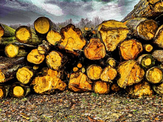 Oxygen Project Photograph No. 097