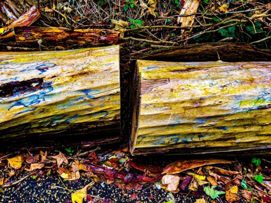 Oxygen Project Photograph No. 098