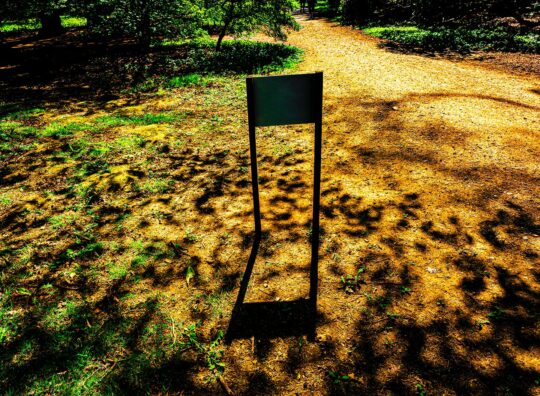 Oxygen Project Photograph No. 100