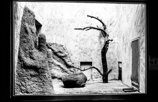 Station Project Photograph No. 110