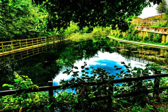 Waterworks Project Photograph No. 126