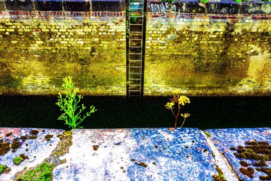 Waterworks Project Photograph No. 131