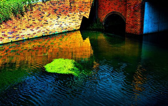 Waterworks Project Photograph No. 132