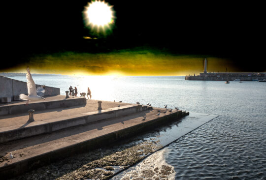 These Dark Skies Project Photograph No. 149