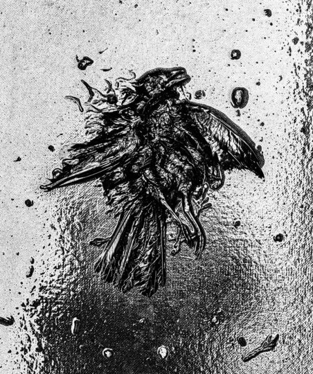 Singles Black & White Photograph No. 02