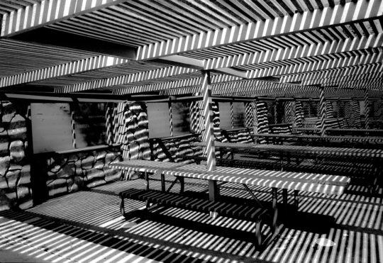 Singles Black & White Photograph No. 07