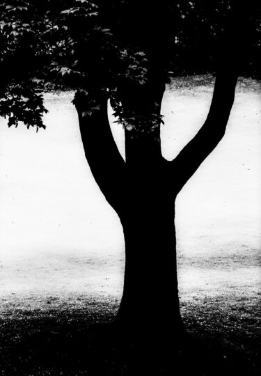 Singles Black & White Photograph No. 09