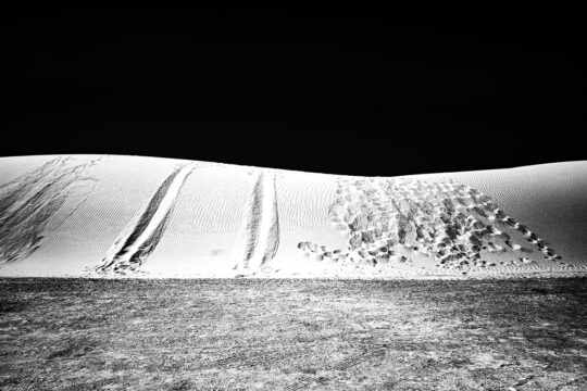 Singles Black & White Photograph No. 14