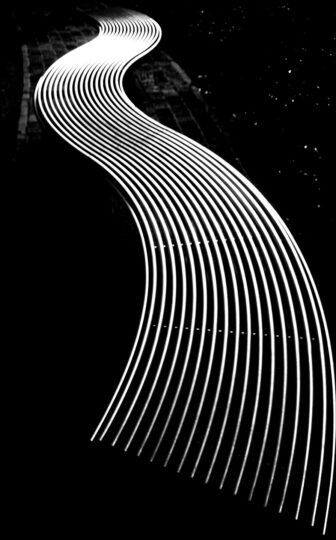 Singles Black & White Photograph No. 20