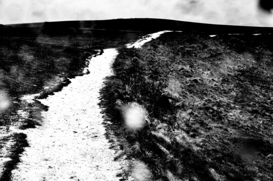 Pictoral Black & White Photograph No. 01