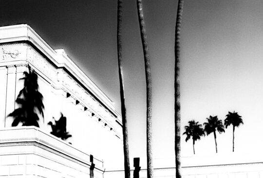 Pictoral Black & White Photograph No. 03