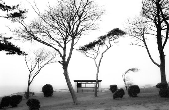 Pictoral Black & White Photograph No. 04