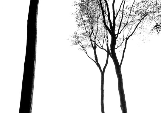 Pictoral Black & White Photograph No. 07