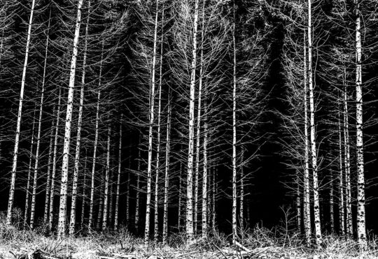 Pictoral Black & White Photograph No. 09