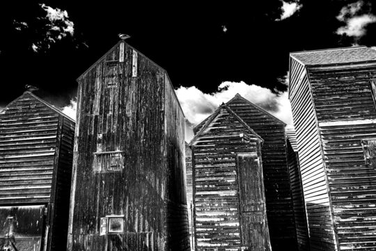 Pictoral Black & White Photograph No. 15