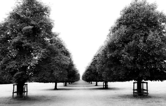 Pictoral Black & White Photograph No. 18