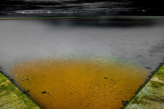 Singles Colour Photograph No. 06