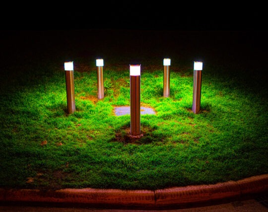 Singles Colour Photograph No. 07