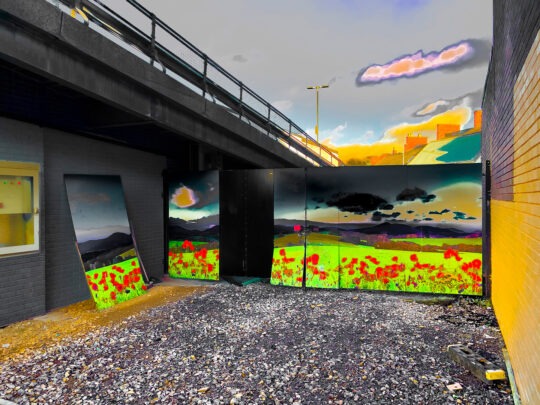 Singles Colour Photograph No. 08