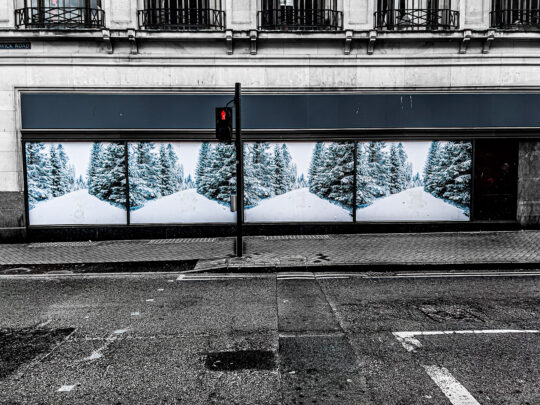 Singles Colour Photograph No. 11