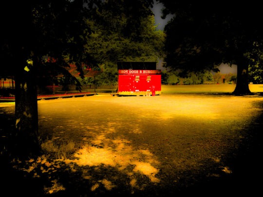 Singles Colour Photograph No. 12