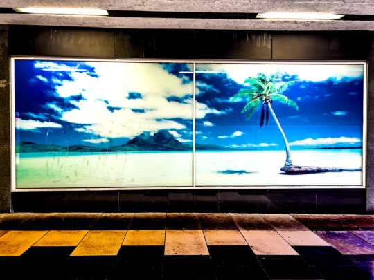 Singles Colour Photograph No. 13