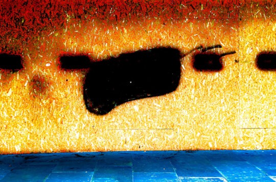 Singles Colour Photograph No. 14