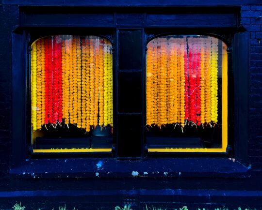 Singles Colour Photograph No. 16