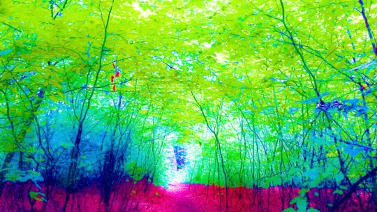 Pictoral Colour Photograph No. 10