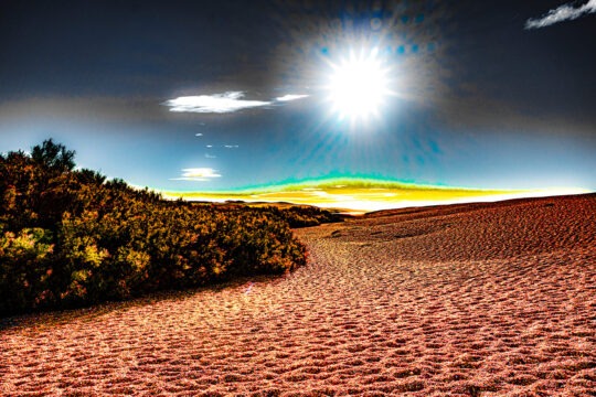 Pictoral Colour Photograph No. 20